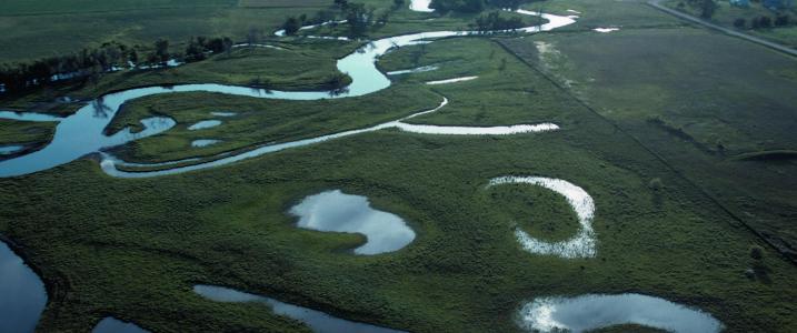 Wetland Enhancement in Midwest to Help Reduce Foods of the Future