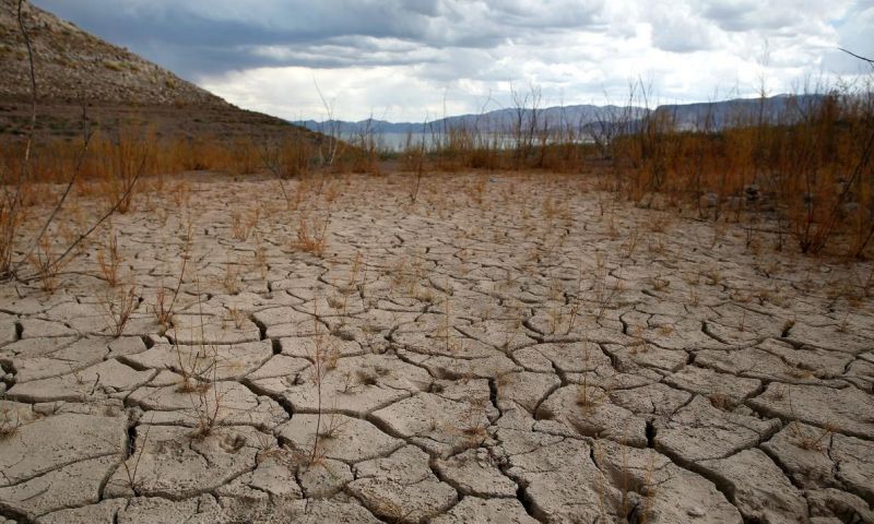 These Are the Forgotten Victims of the West's Drought