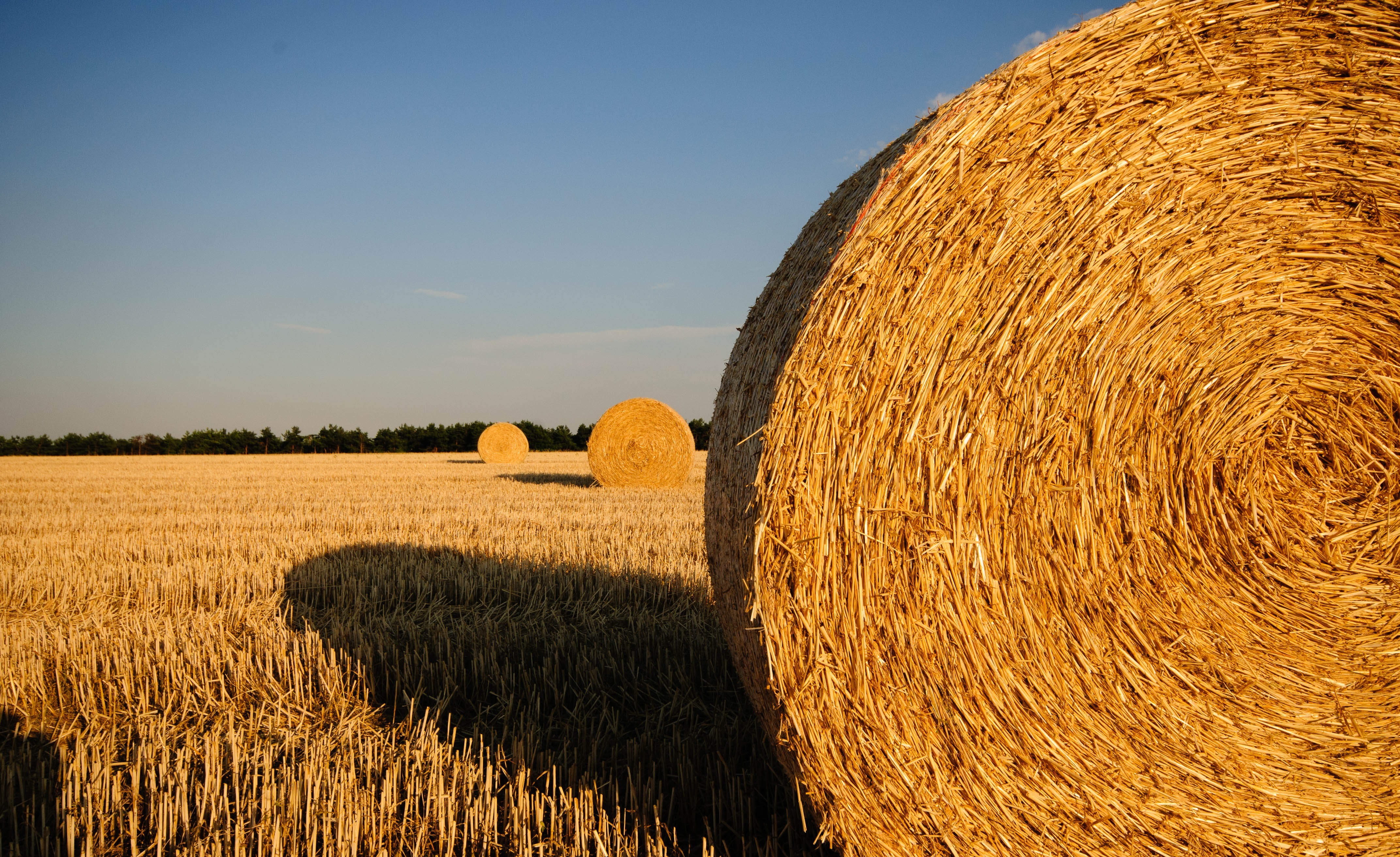 Water Treatment Plant That Uses Agriculture Waste