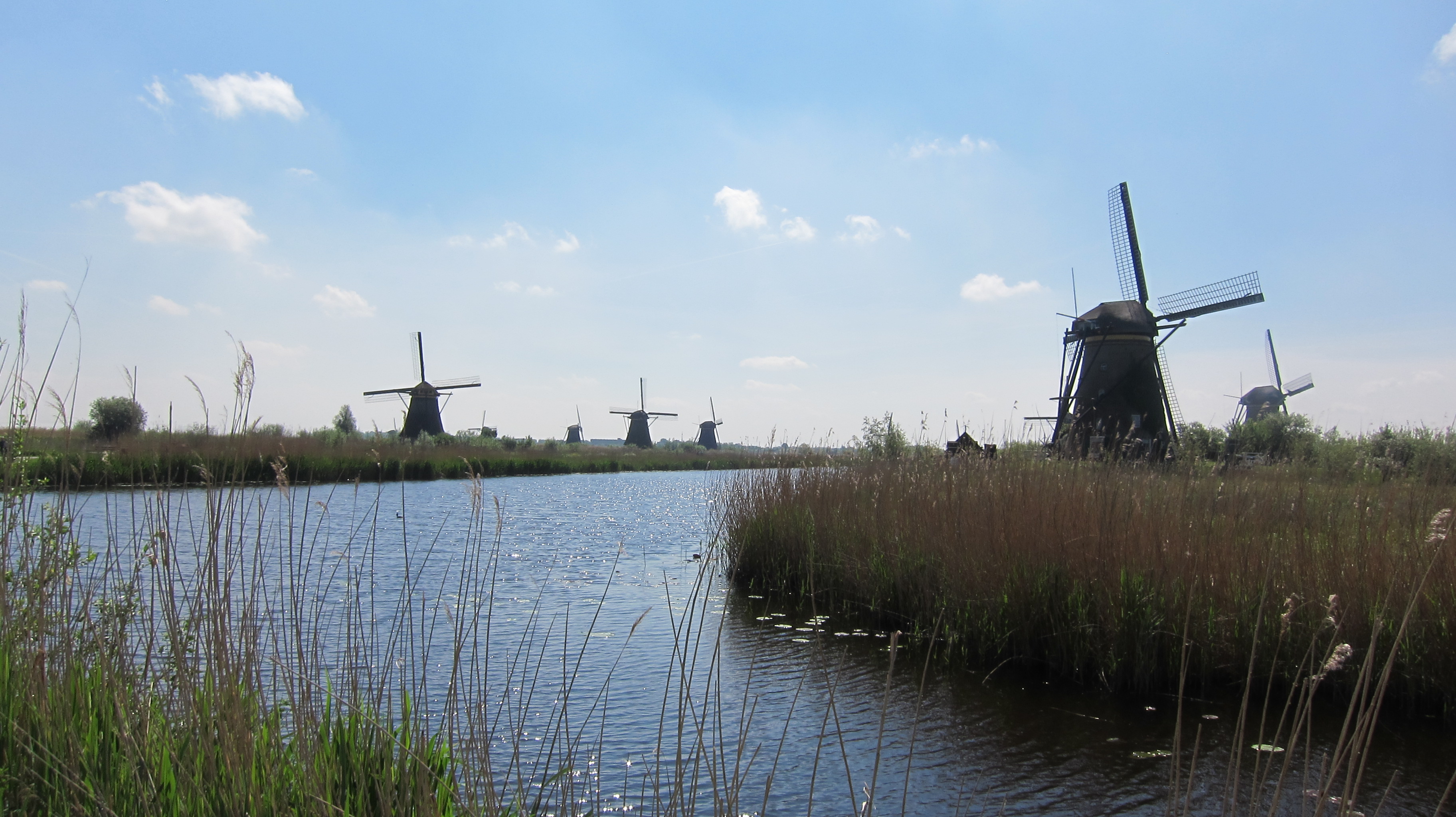 USNC 2016 Professionals Netherlands