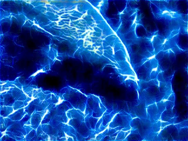 SWAMPY Studios Blue Views