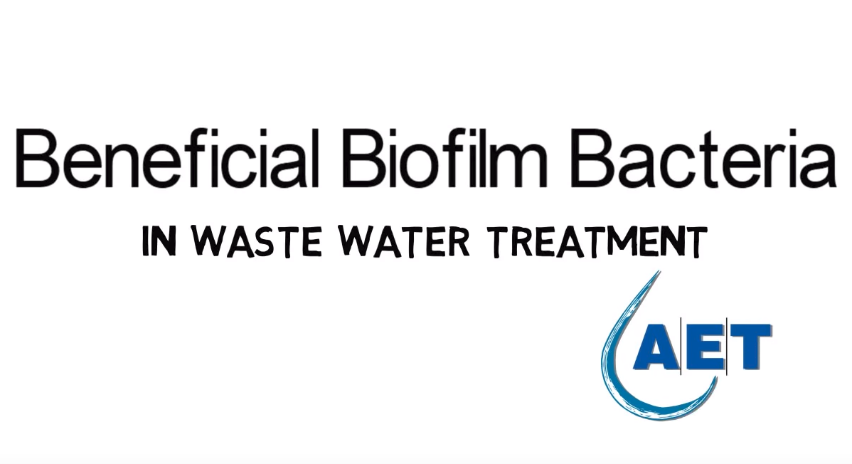 Beneficial Biofilm Bacteria in Wastewater Treatment