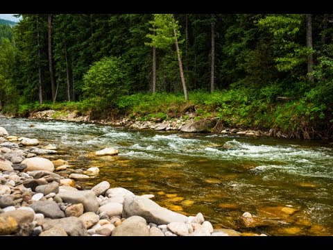 The Use of Saturated Rock Fills in Water Treatment (Video)