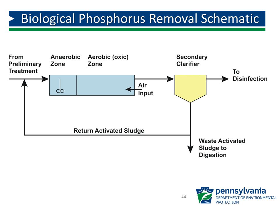 Municipal wastewaters may ...