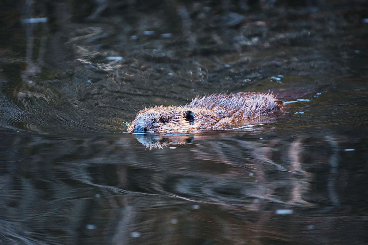 This Week in Water for September 20, 2026