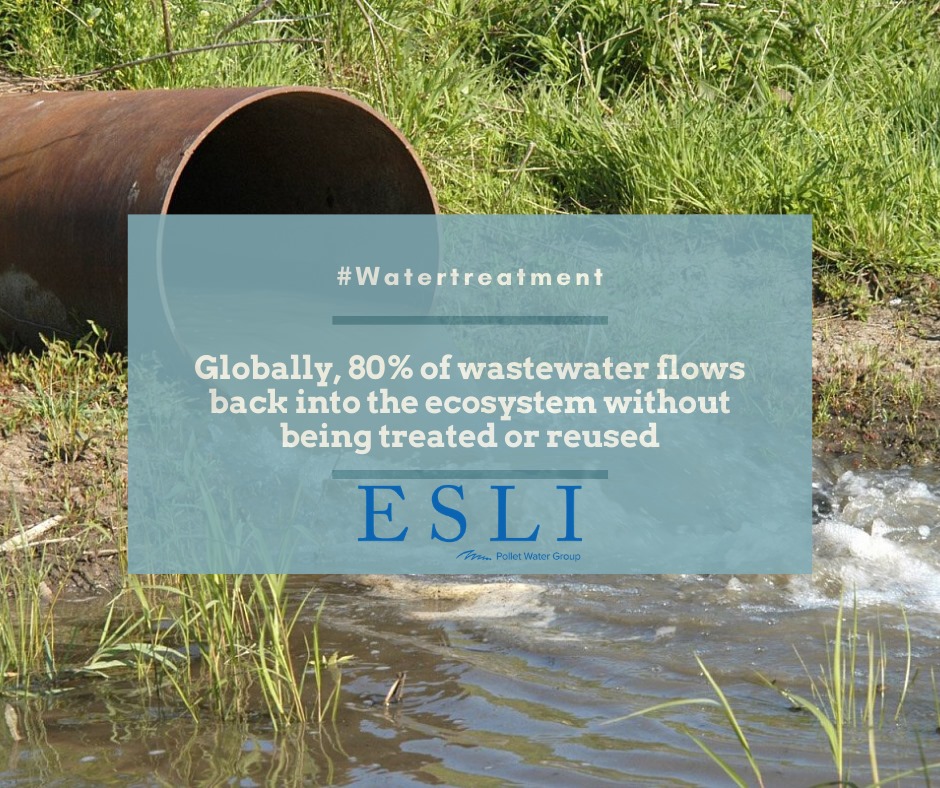 Esli Pollet Water Group