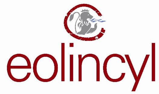 Ricardo Bravo, Eolincyl I+D, S.L. - President