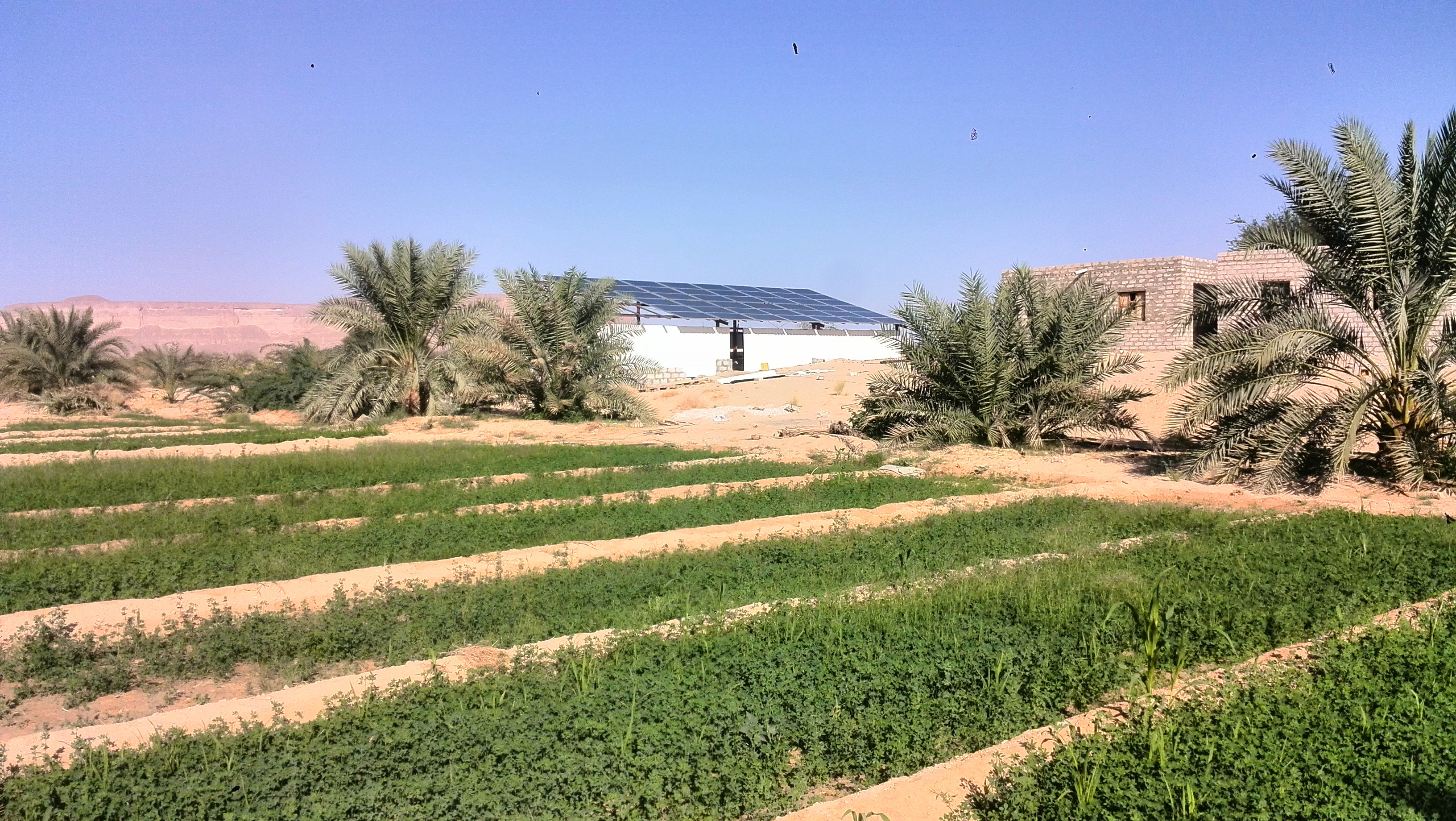 Hitachi Solar water pump projects