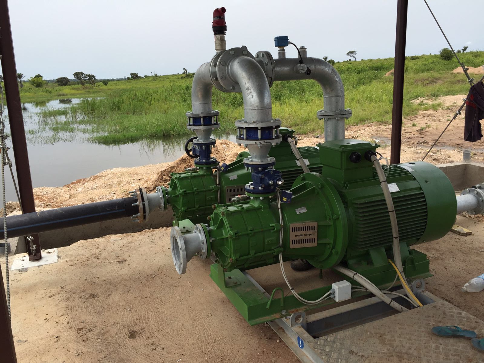 Angola waterplant