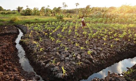 Improving water supply to improve livelihoods across southern Africa