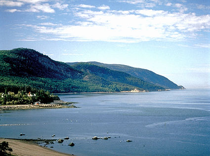 Montreal Dumps Raw Sewage into St. Lawrence River