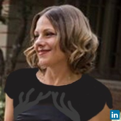 Hayley L Zemel, Owner/Data Visualization Specialist at World Vision Consulting