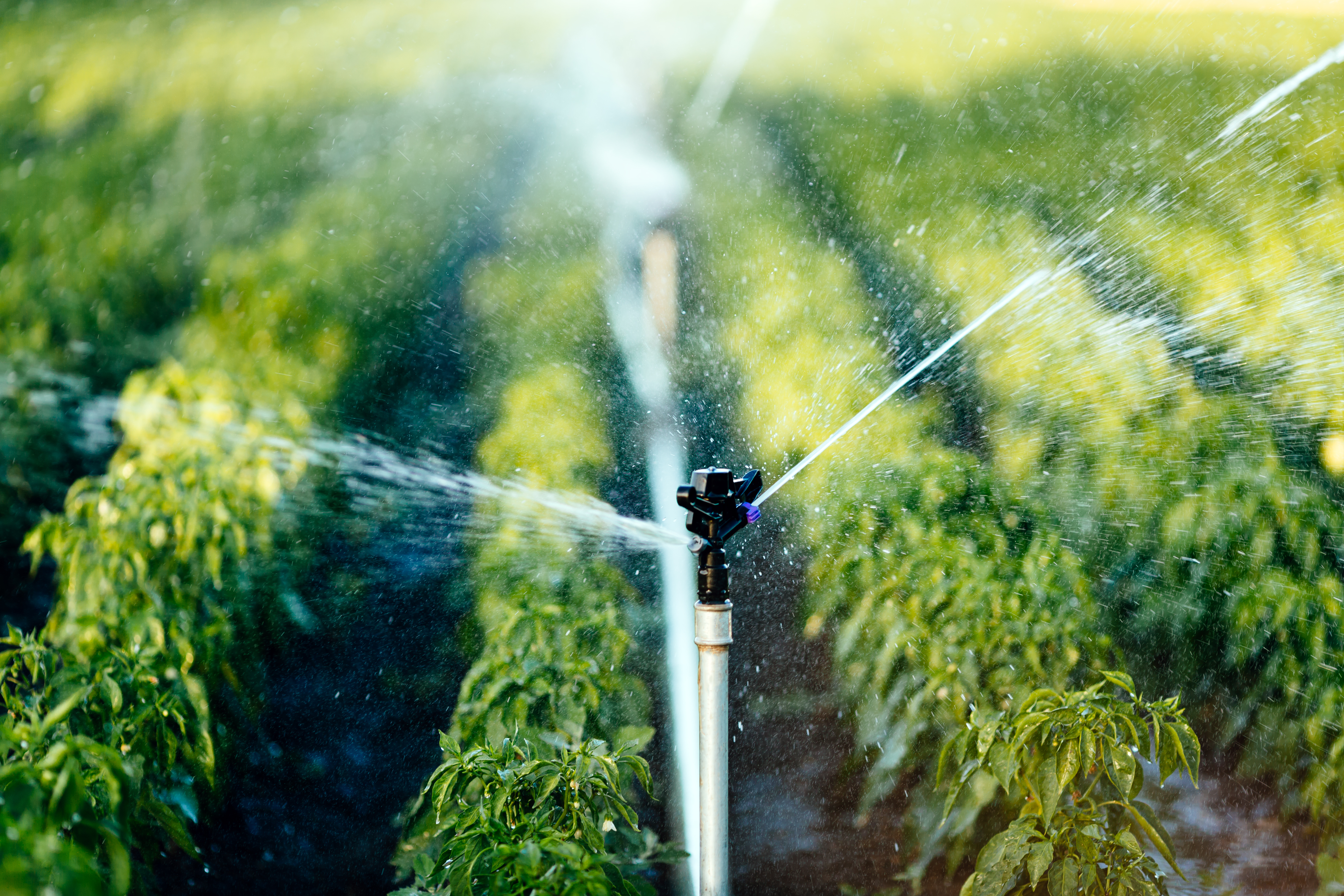 Tasmanian telemetry rollout strengthens remote irrigation monitoring