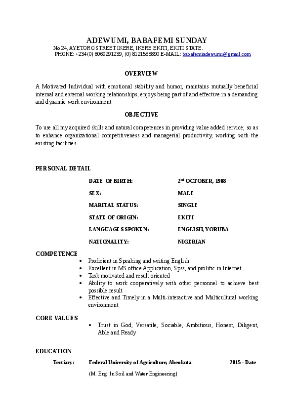 Adewumi Babafemi, Engineer