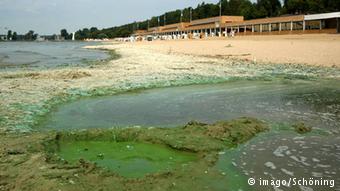 EU sues Germany over water tainted by nitrate fertilizer