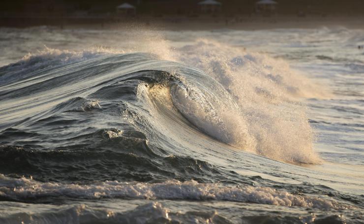 Decades of Data on World’s Oceans Reveal a Troubling Oxygen Decline