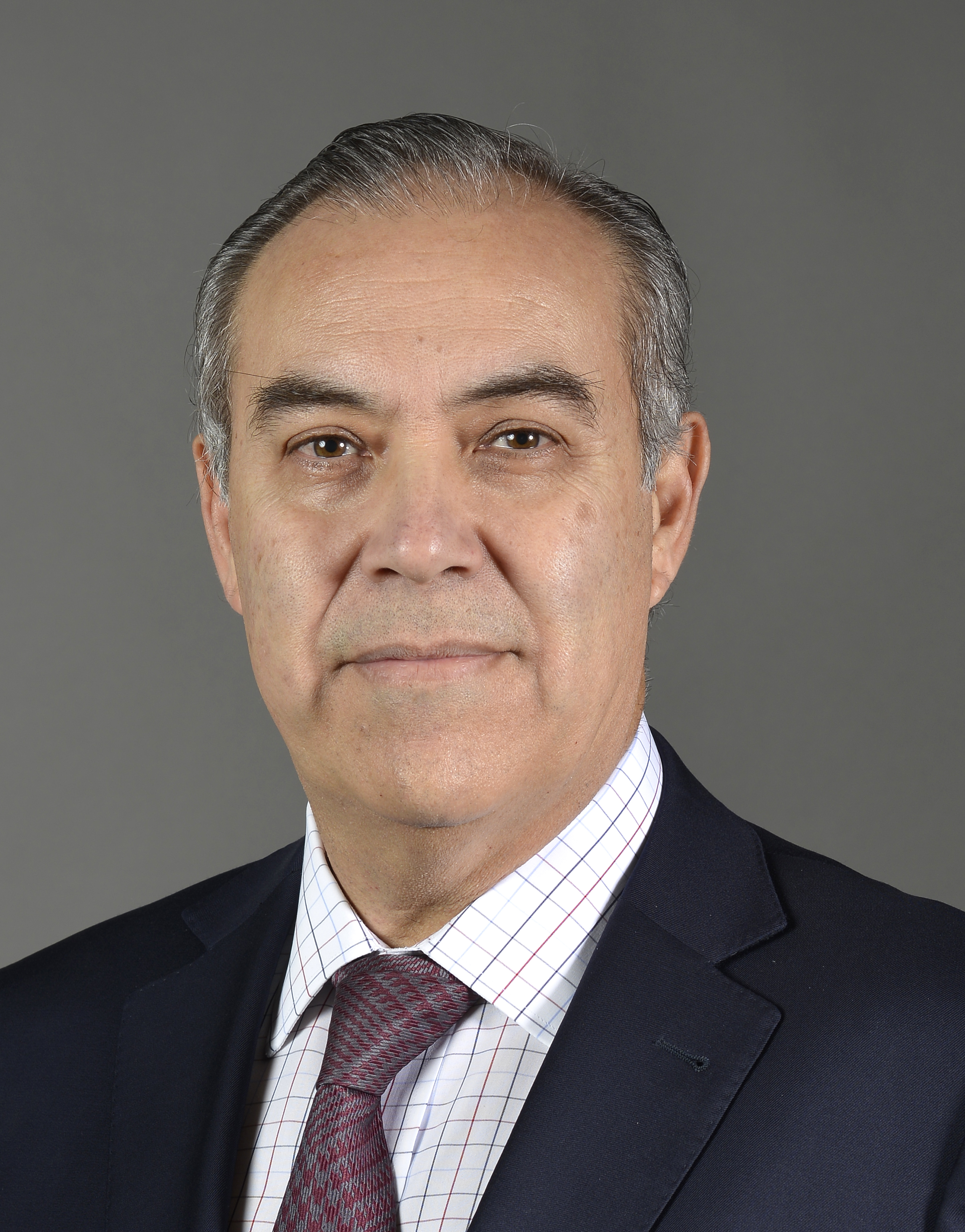 Richard Araya, Director at Ayquina Group