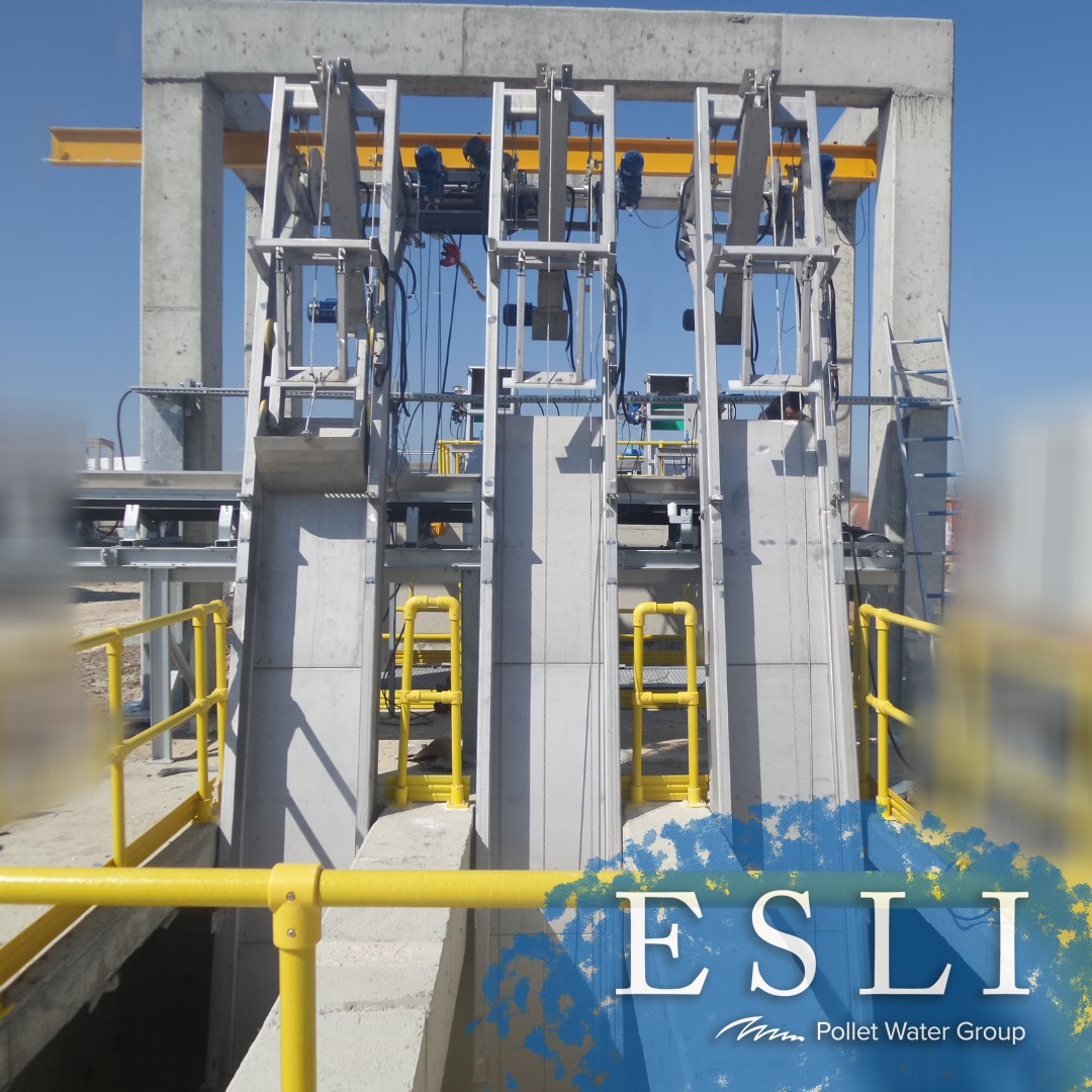 Esli Pollet Water Group