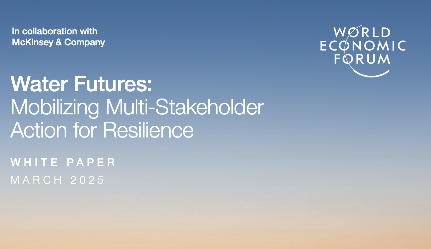 Water Futures White Paper