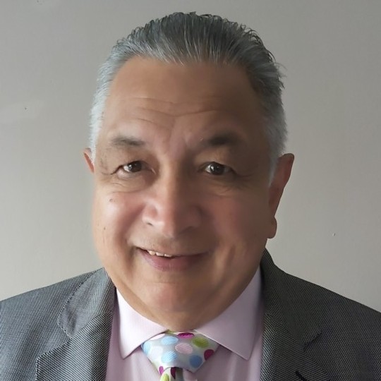 Dr. Terence M Lewis. MSc.BSc.EMA., Principle Energyst at EnergystConsulting