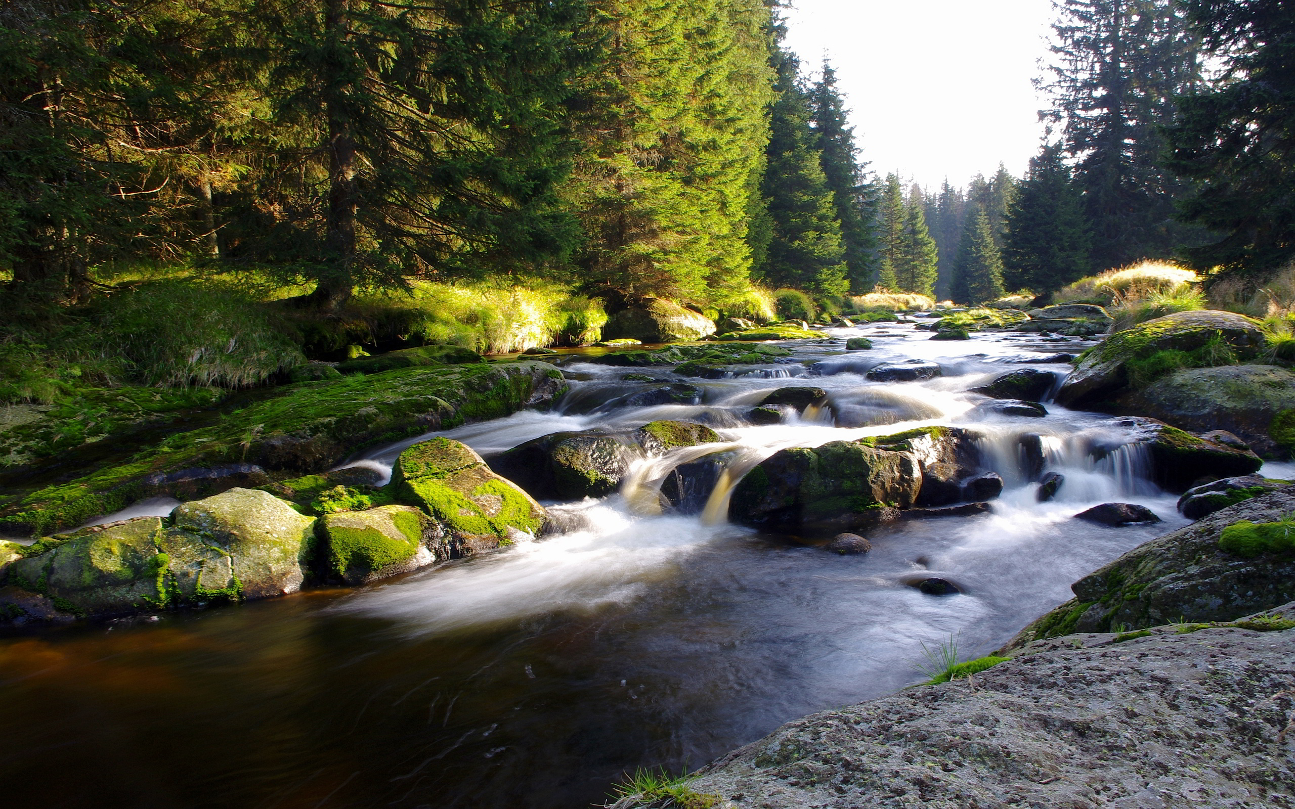 How Climate Change Dries up Mountain Streams