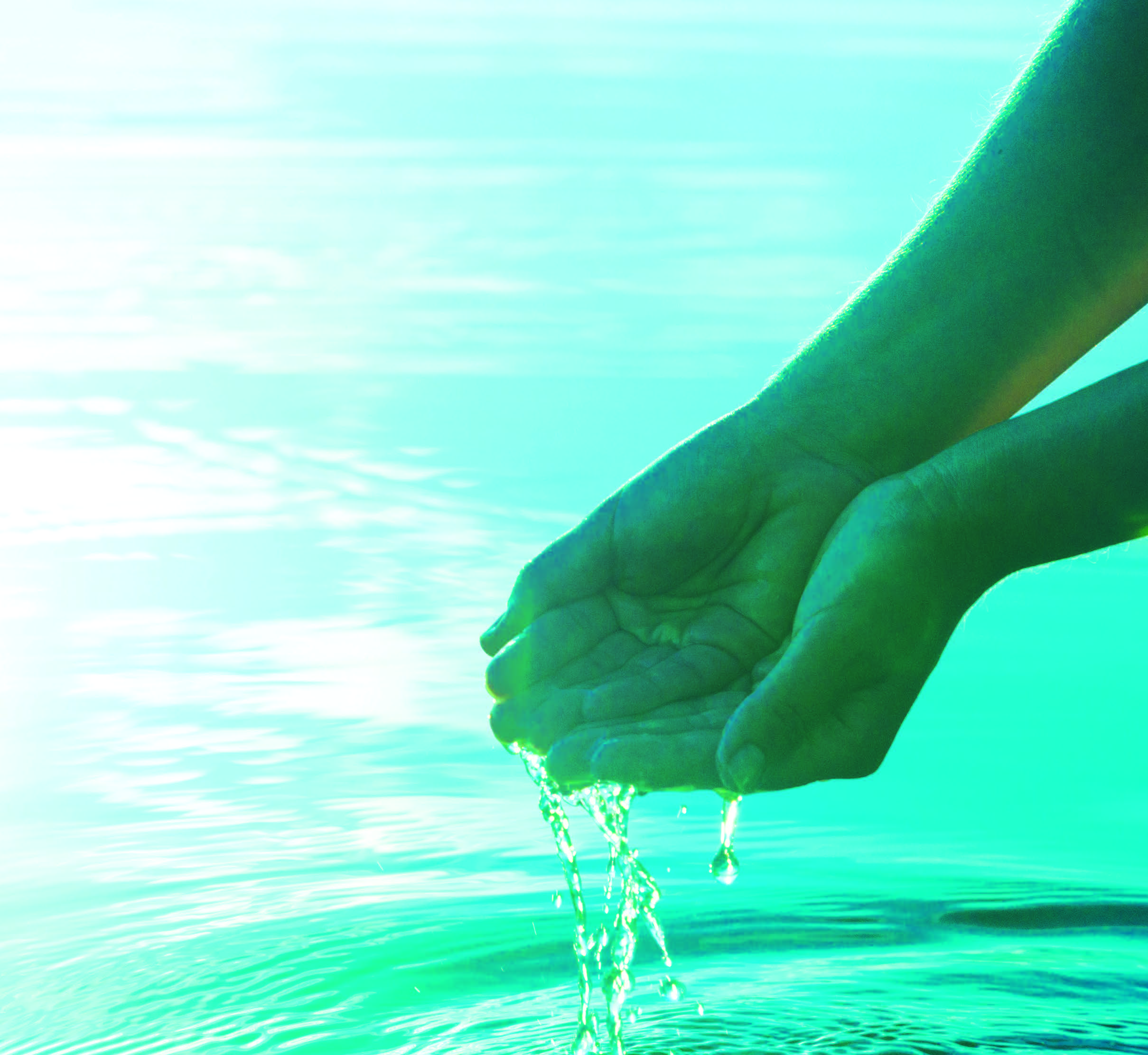 Reverse Osmosis and Water Purification