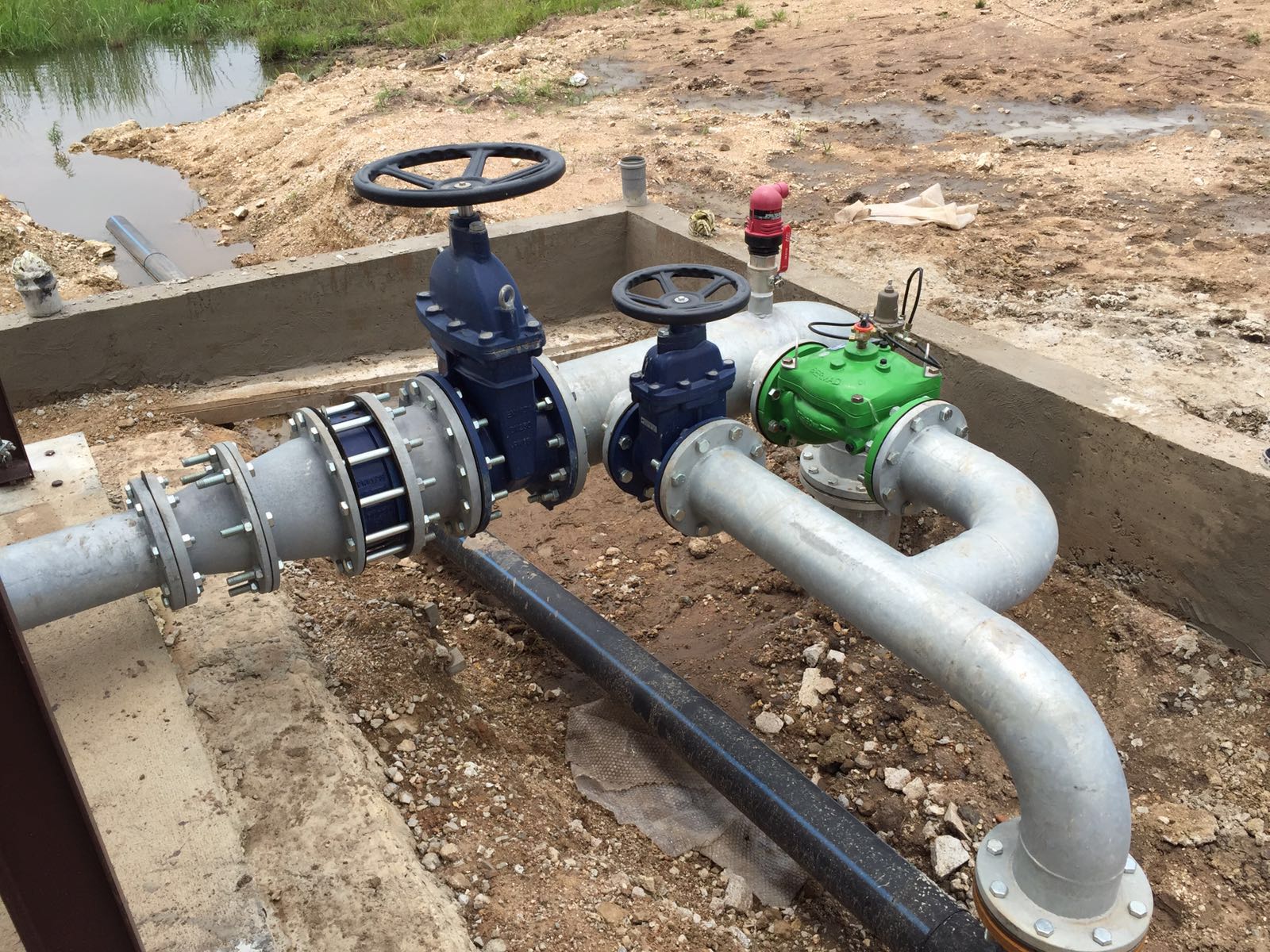Angola waterplant