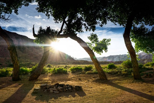 ECO LIFE / MOTHER NATURE