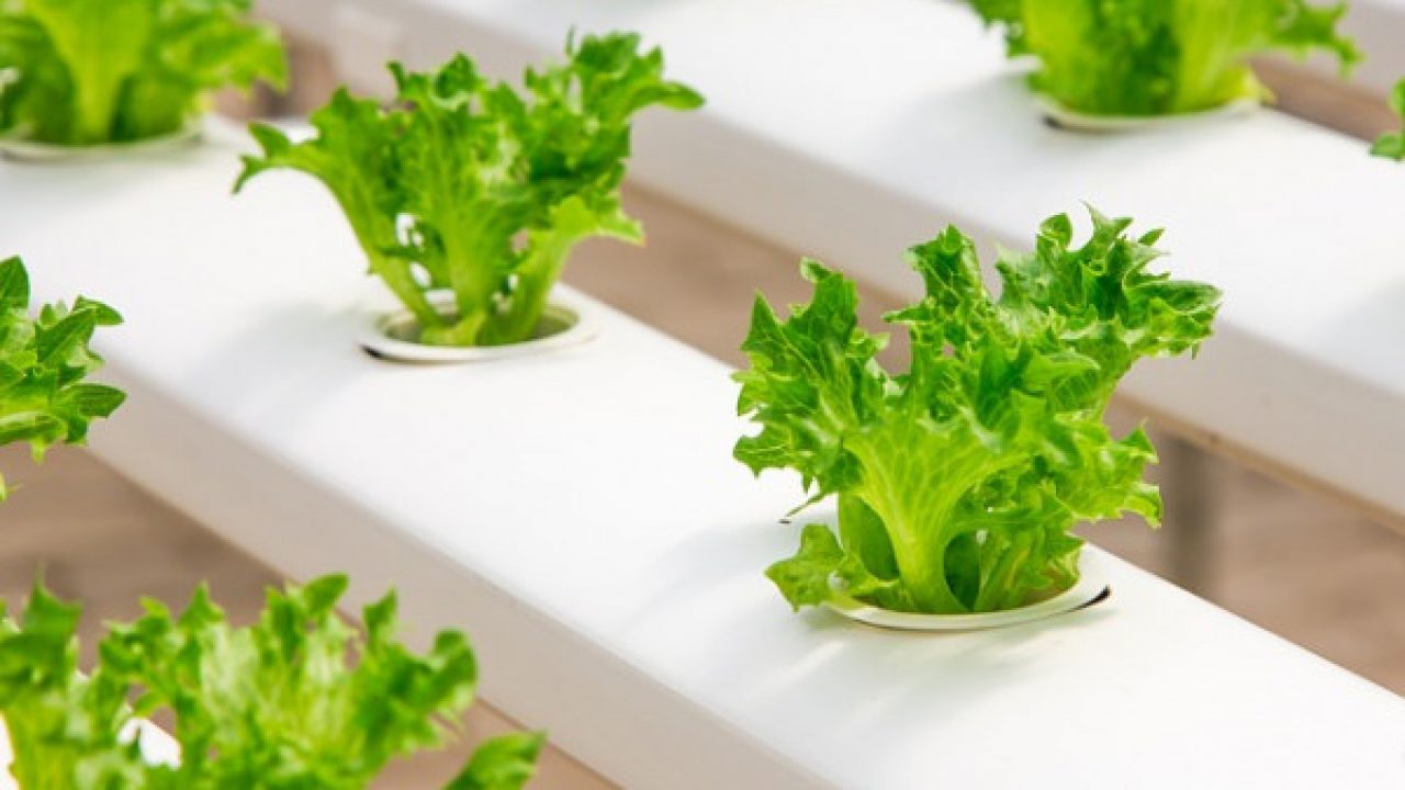 Water-Smart Agriculture: the Efficiency Drive the World Needs