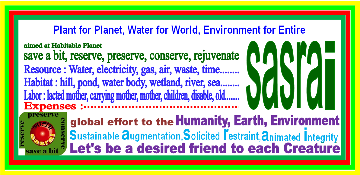 “sasrai-Movement” Pope’s “bold cultural revolution” 