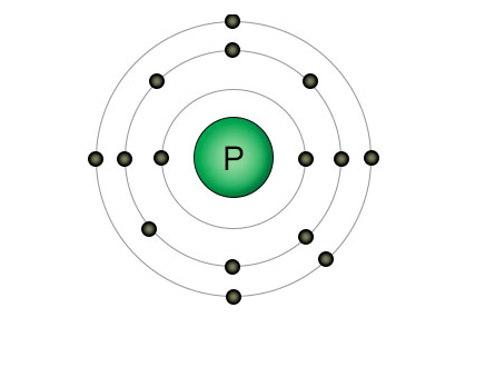 New Insights into Phosphorus Management in Agriculture