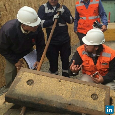 Anel Mauricio Pizarro Alvarez, Jefe de Proyectos