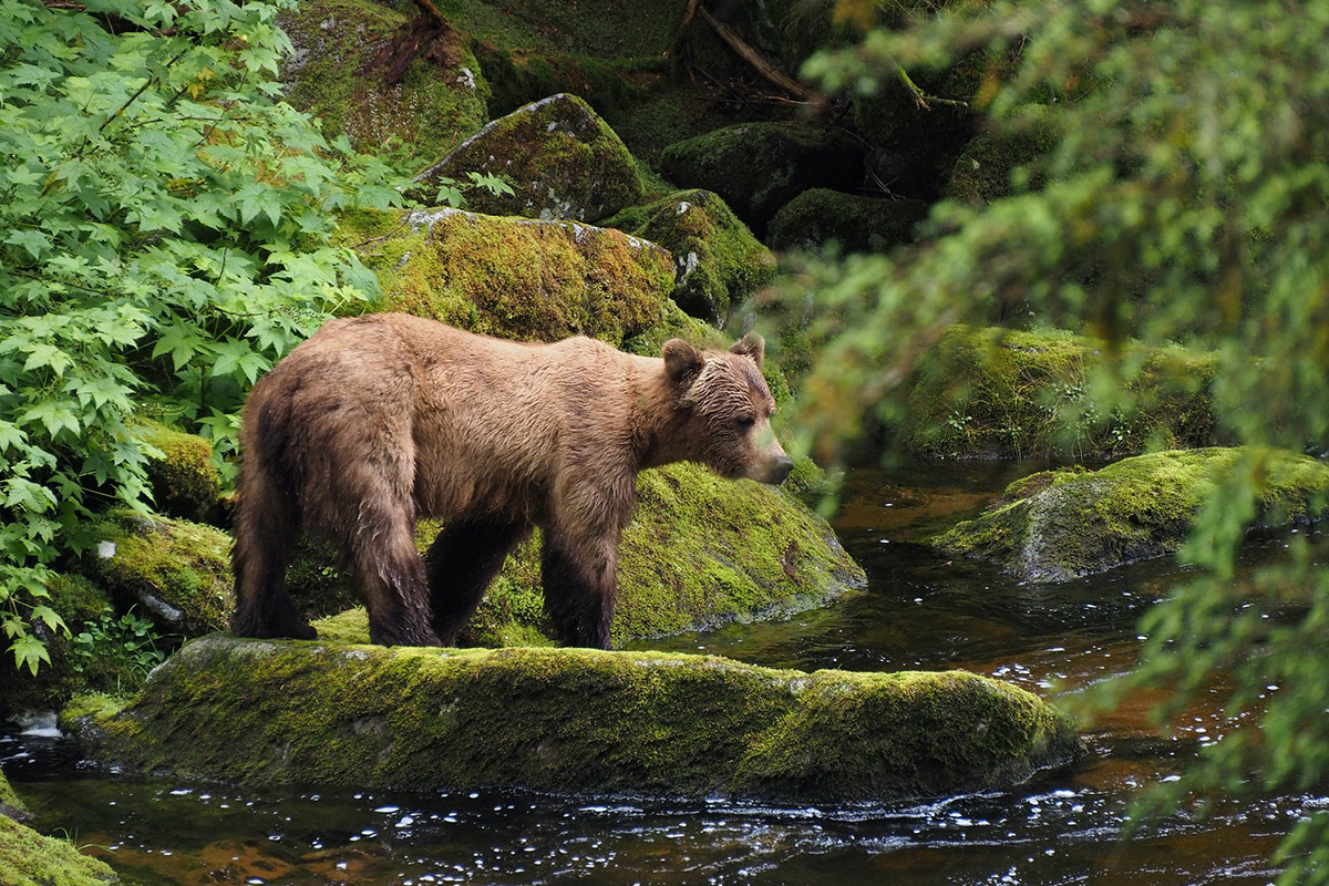 This Week in Water for June 29, 2025