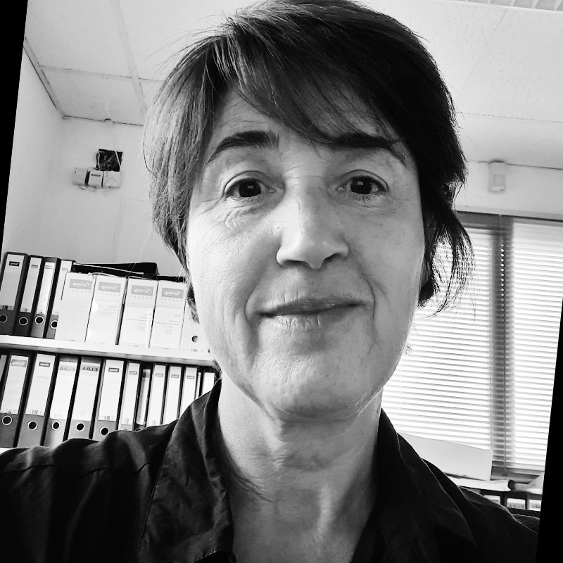 Helena  Villagrasa Llopis