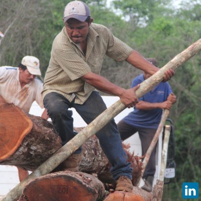 Sergio Madrid, Director en ccmss