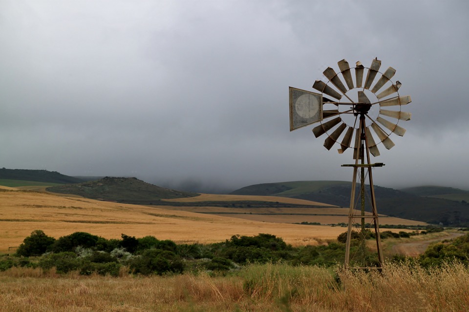 For Africa, Going Green Is Not a Luxury (Opinion)