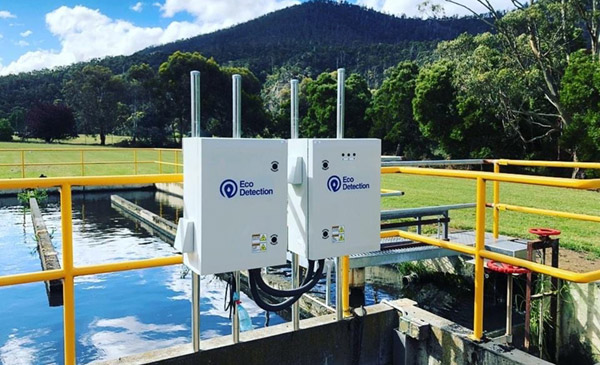 Capillary Zone Electrophoresis (CZE) technology