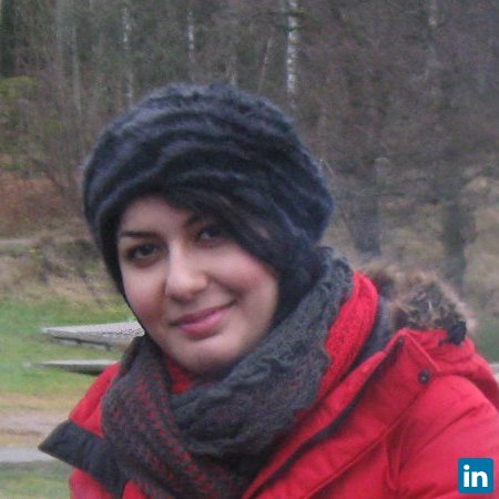 Maryeh Hedayati, PhD Candidate in Hydrogeology