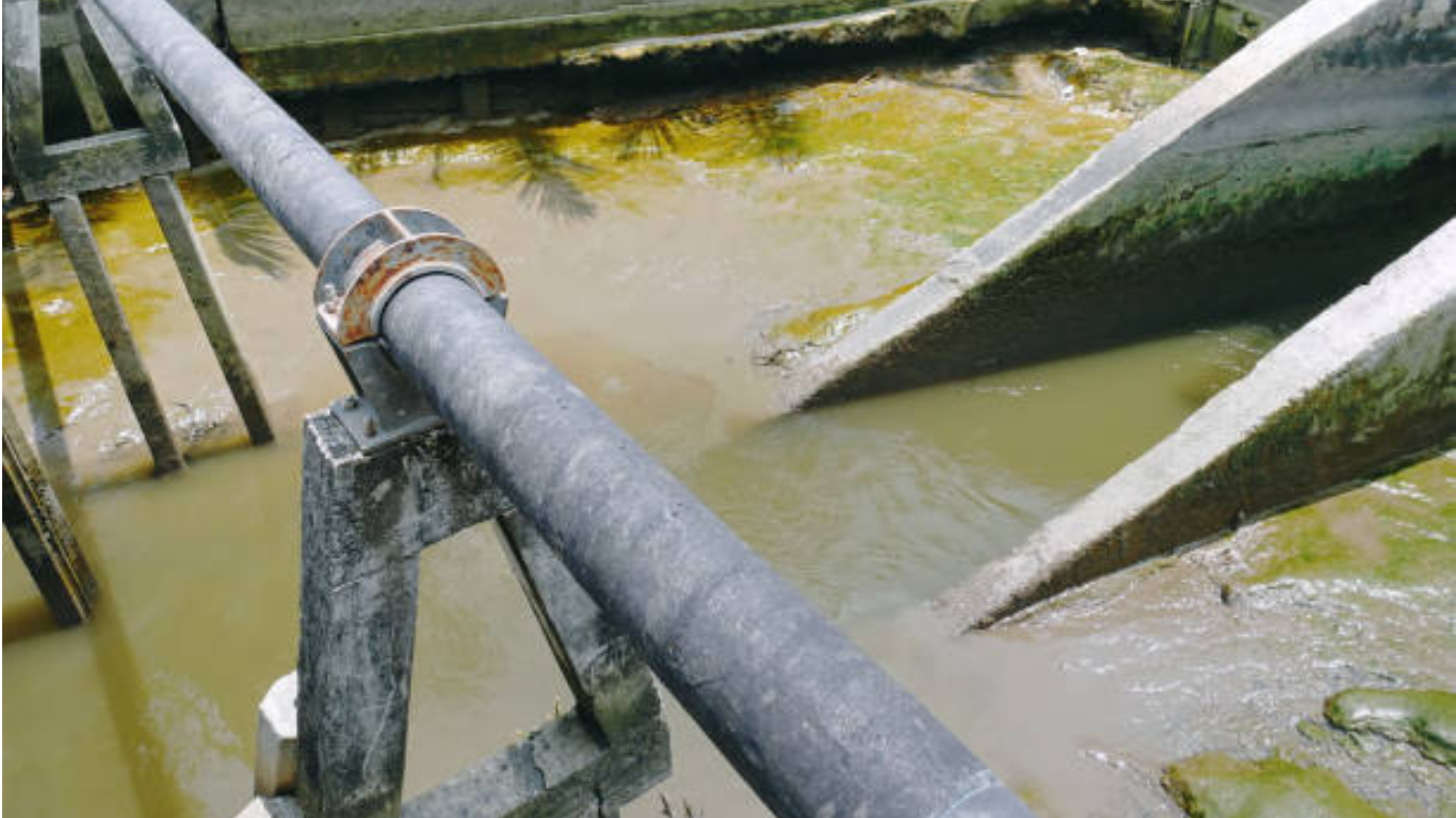 Team One Biotech: Microbial Bioremediation Company in India