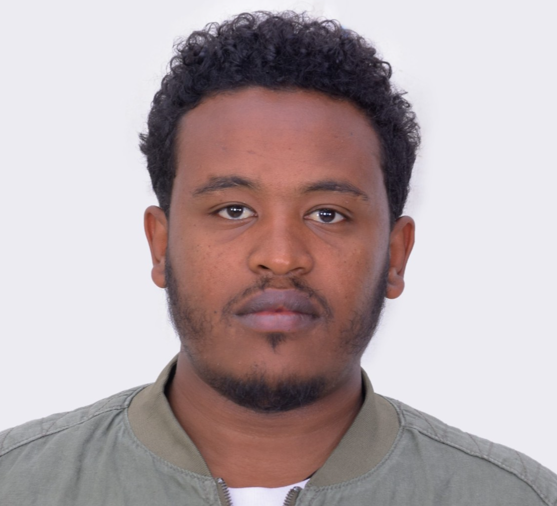 kibrewosen Belay, Hydroinformatics Expert