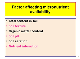 Fertilizers provide an ...