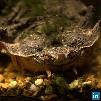 Elizabeth Fet, Environmental Scientist/Aquatic Biologist