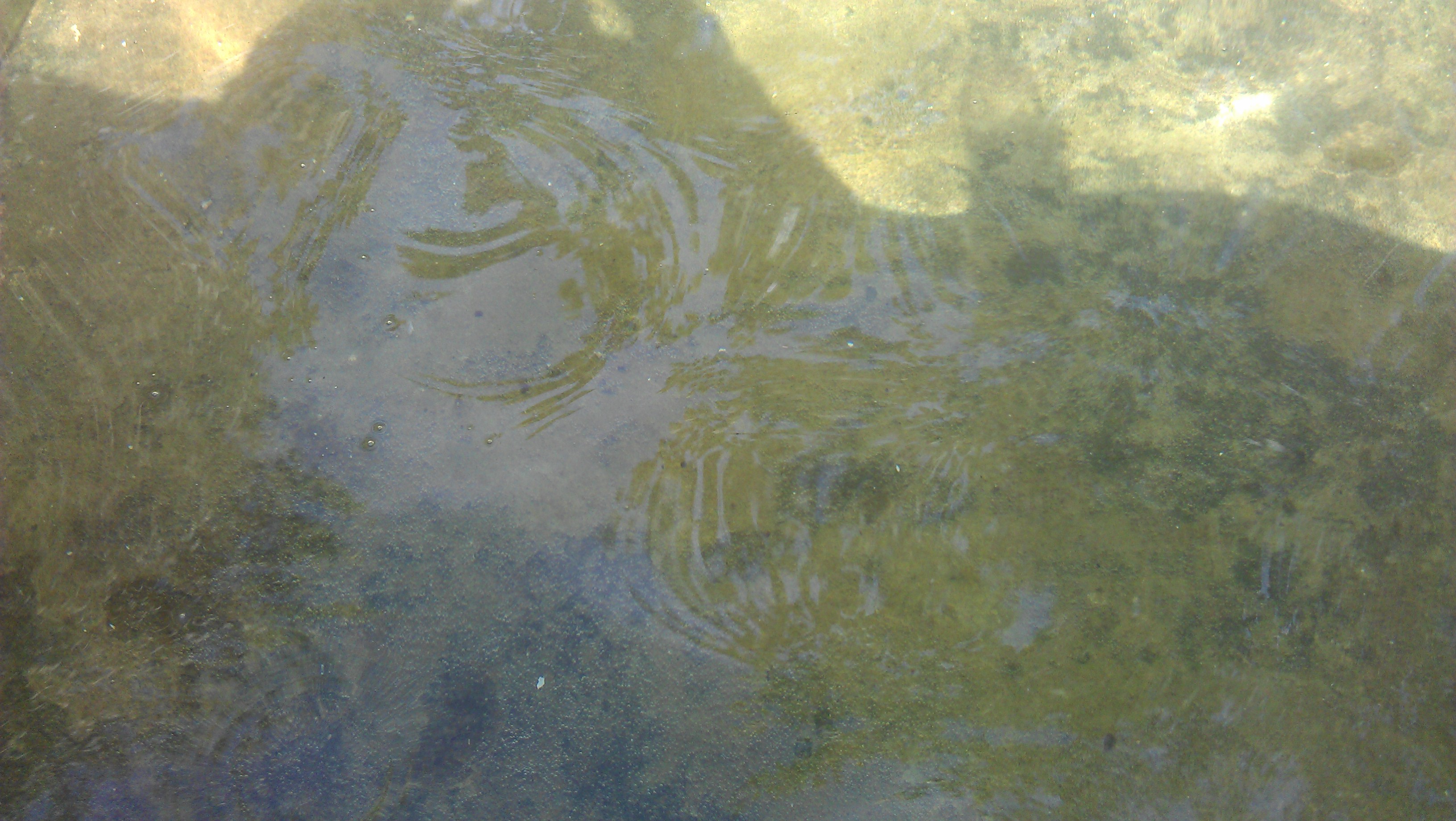 Water Pollution sources