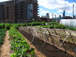 16 Initiatives Changing Urban Agriculture Through Tech and Innovation