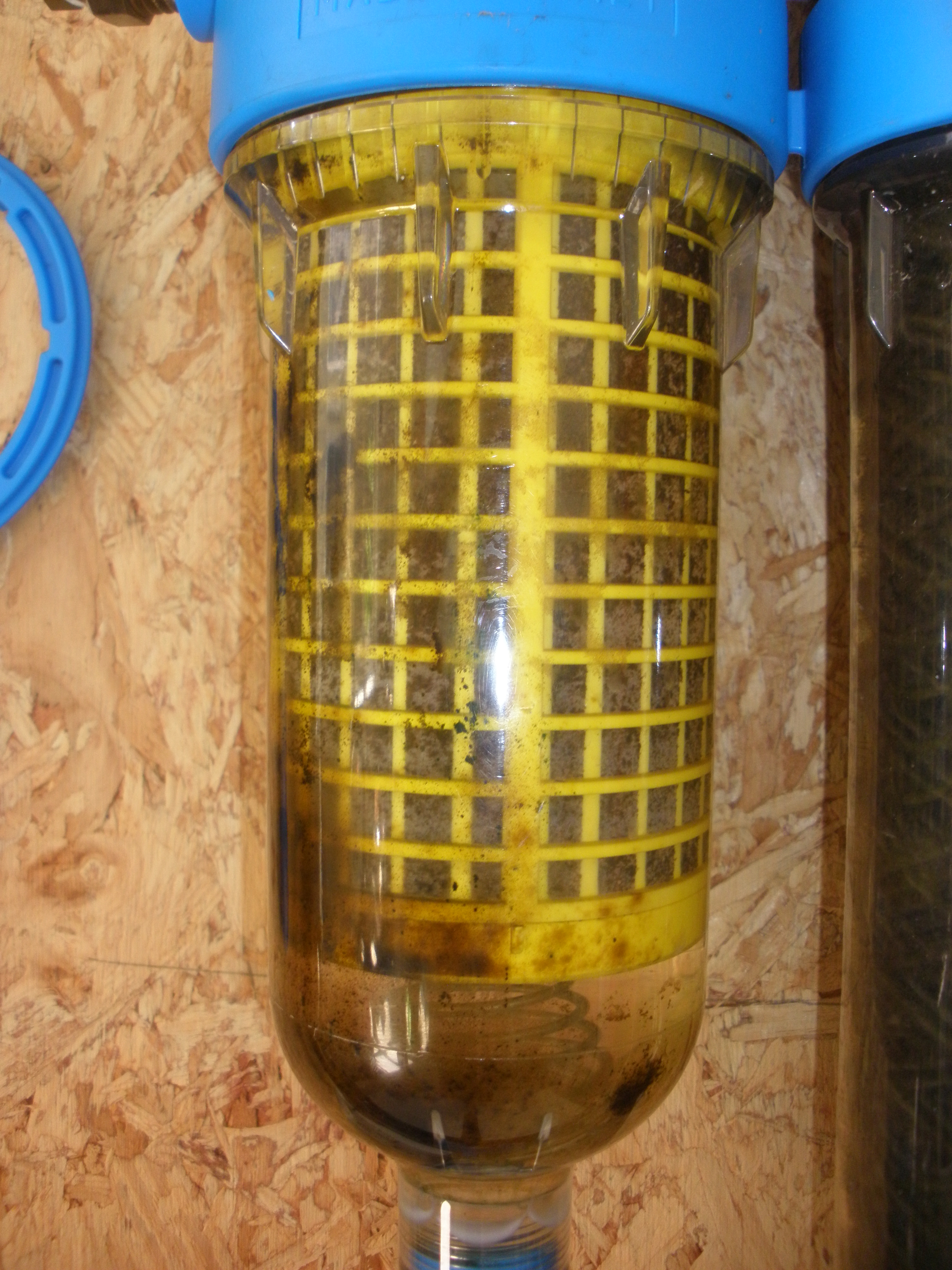 solution for Juglione from walnut tree in greenwater (rainwater)