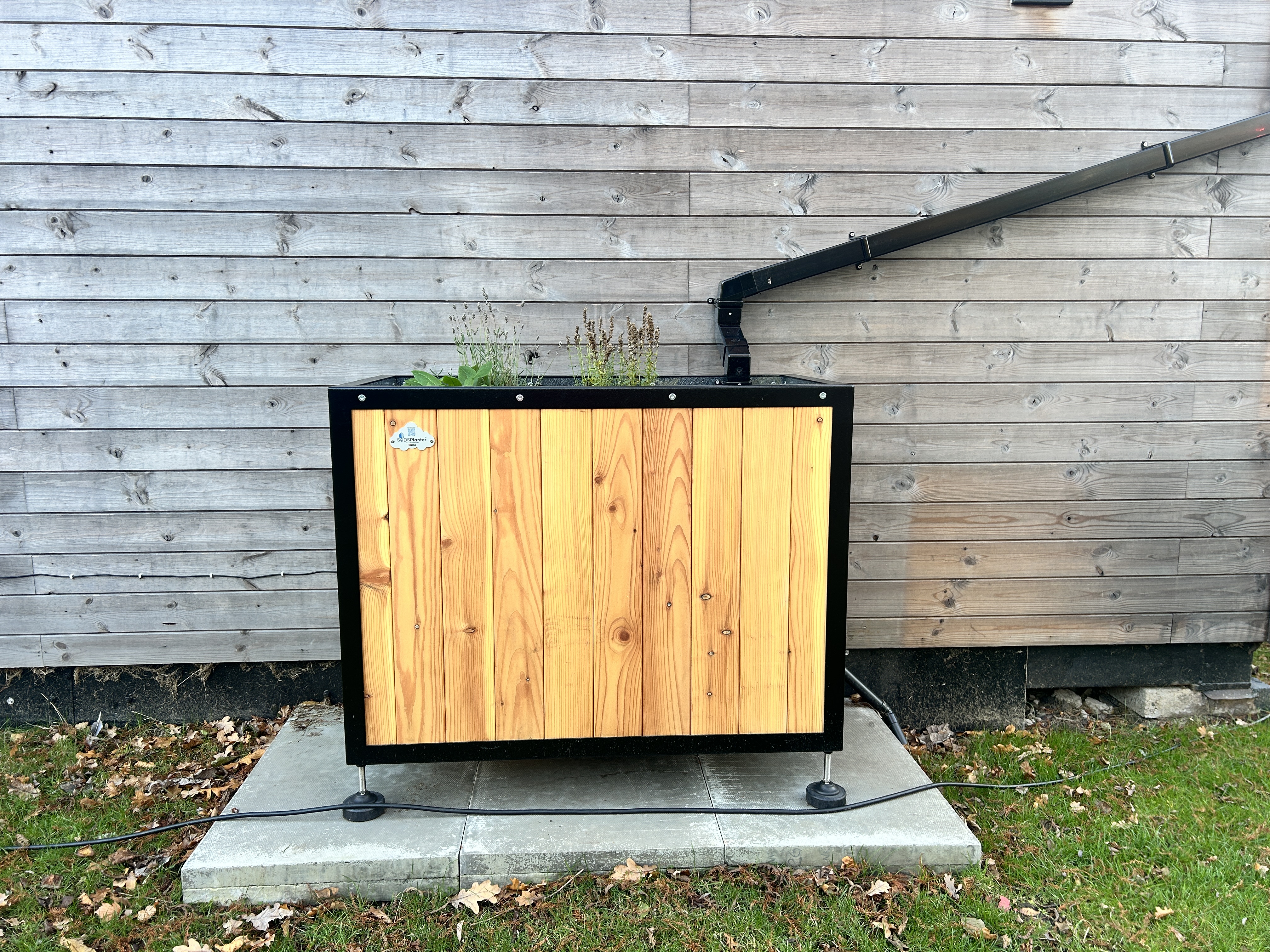 Royal Botanic collaboration delivers sustainable drainage insights