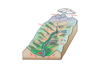 Water Runoff Management 