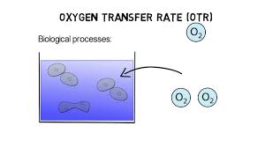Oxygen Transfer Rate in Wastewater Treatment – Calculation Example