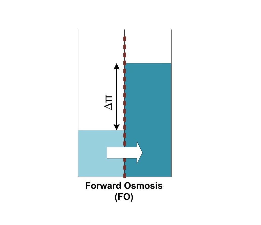 Forward Osmosis (FO), Is It A Real Desalination Technique?