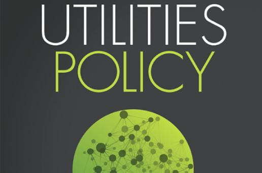 Network DEA Models for Assessing Urban Water Utility Efficiency (Research Paper)